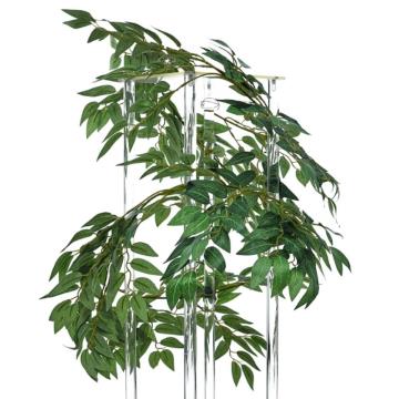 Daun Willow Liang Liu