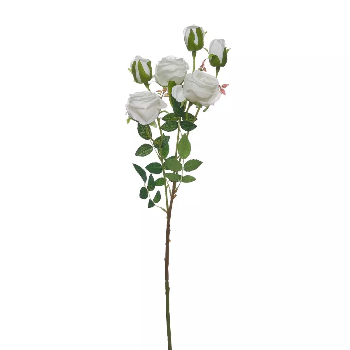 Rose Tangkai Panjang K6 Putih