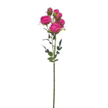 Rose Tangkai Panjang K6 Fuchsia