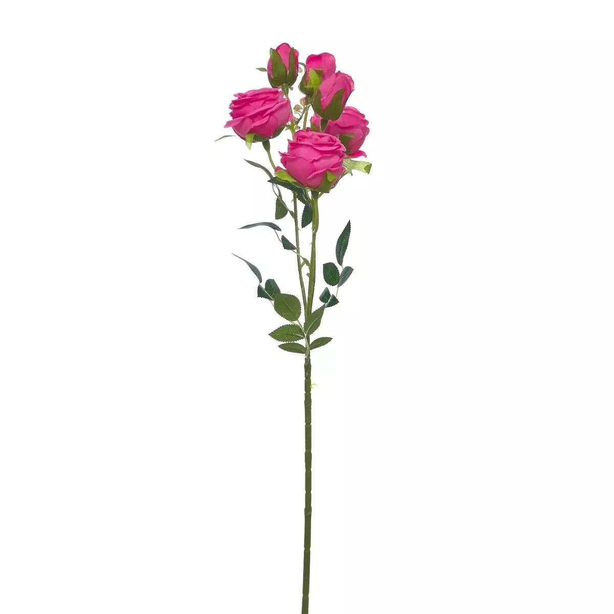 Rose Tangkai Panjang K6 Fuchsia