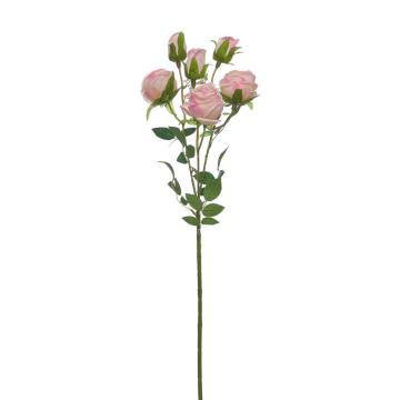Rose Tangkai Panjang K6 Pink Sembur