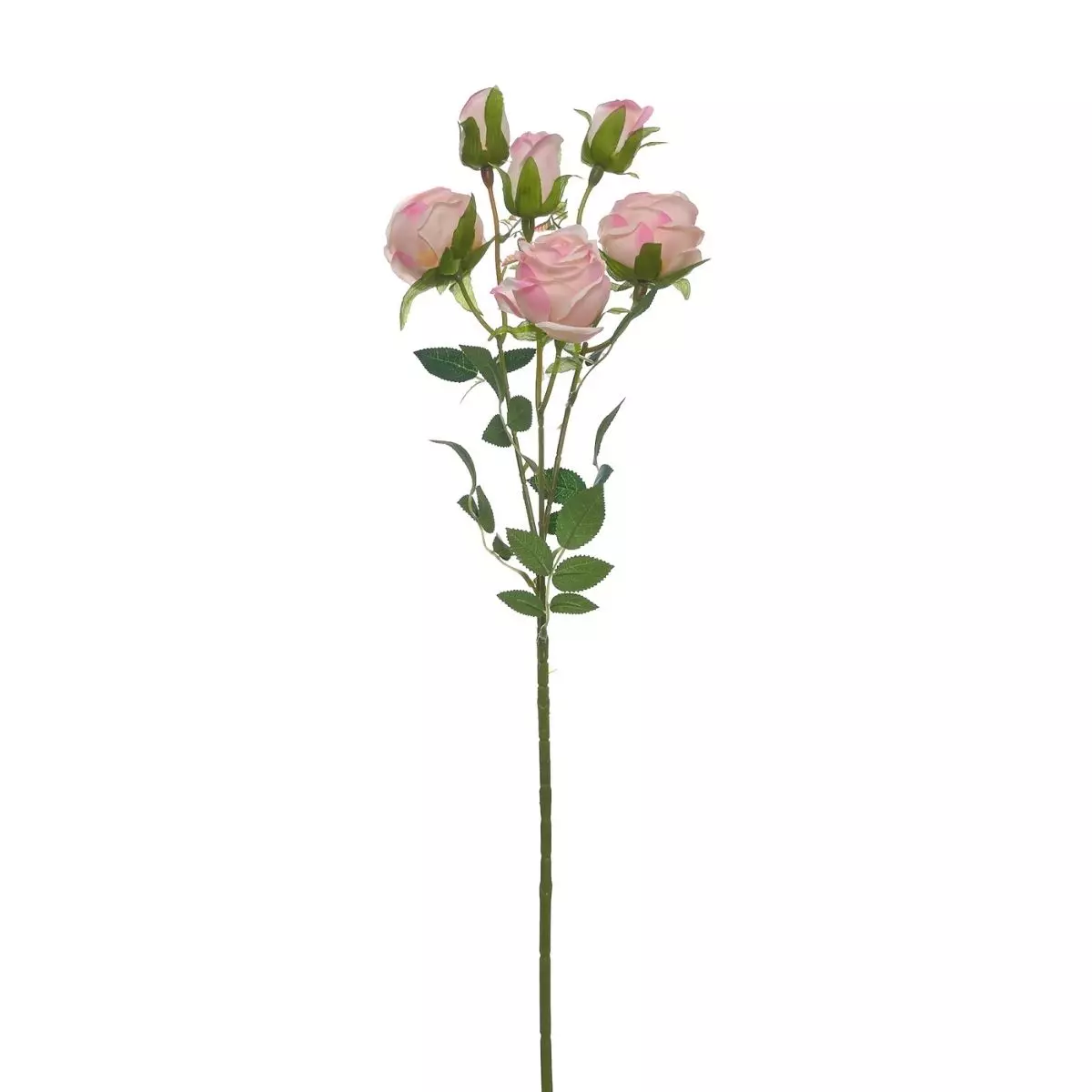 Rose Tangkai Panjang K6 Pink Sembur