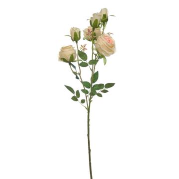 Rose Tangkai Panjang K6 Pink Peach