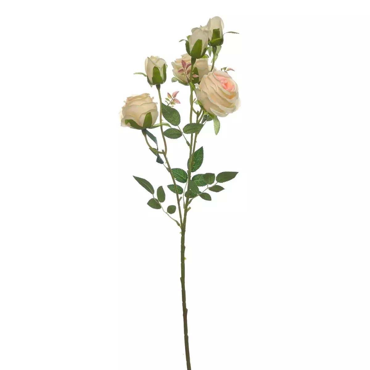 Rose Tangkai Panjang K6 Pink Peach