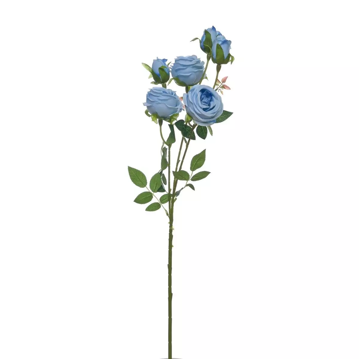 Rose Tangkai Panjang K6 Biru