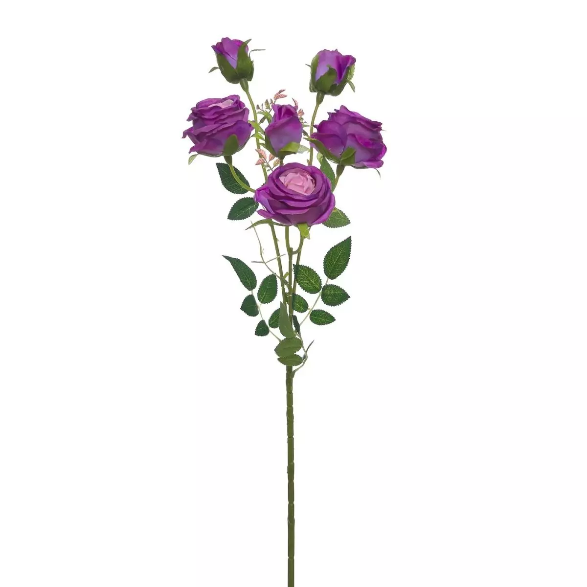 Rose Tangkai Panjang K6 Ungu