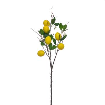 Daun Lemon