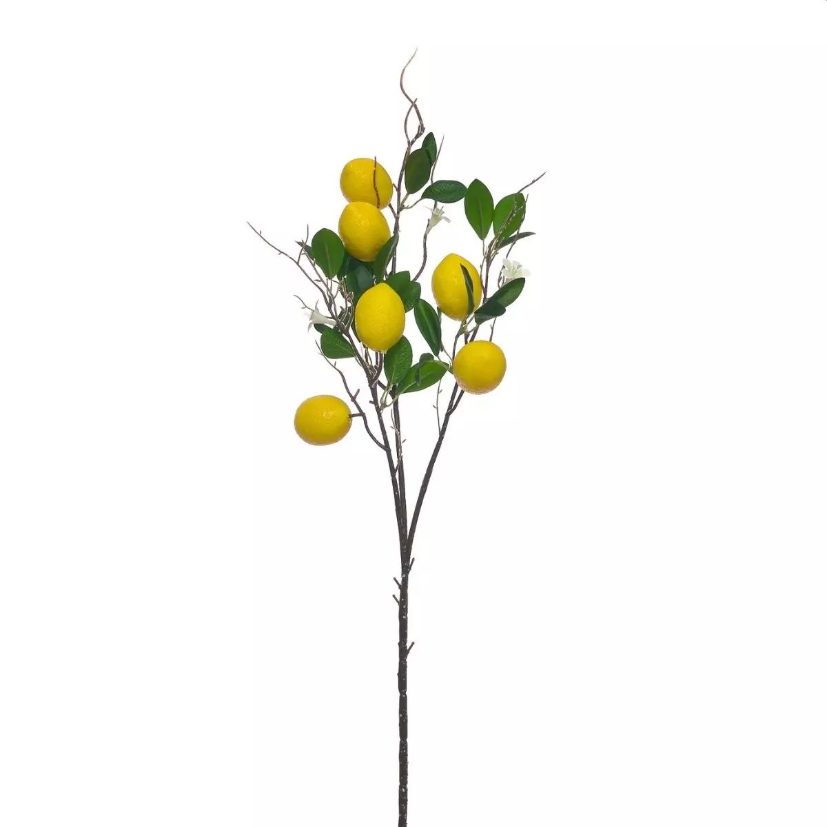 Daun Lemon