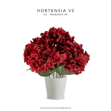 HORTENSIA V2 - MAROON NO. 5